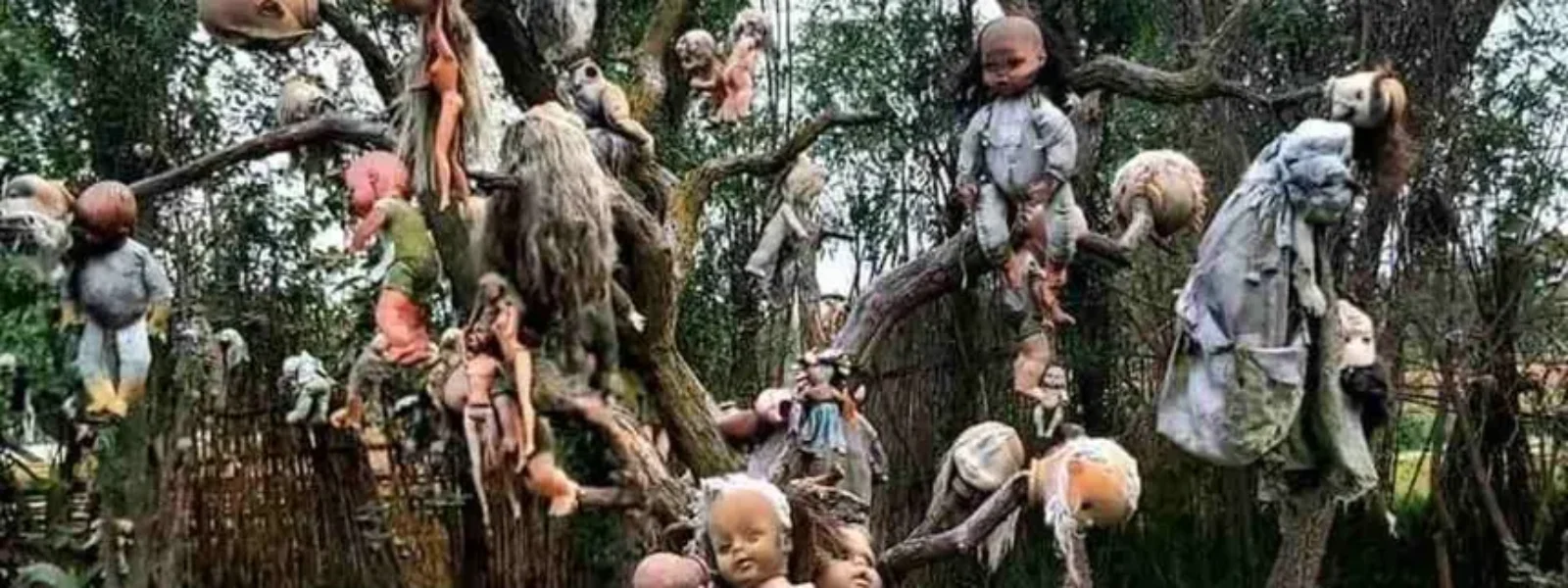 Xochimilco - Isla de las muñecas