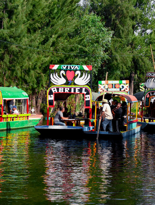 Imagen Principal 500x660