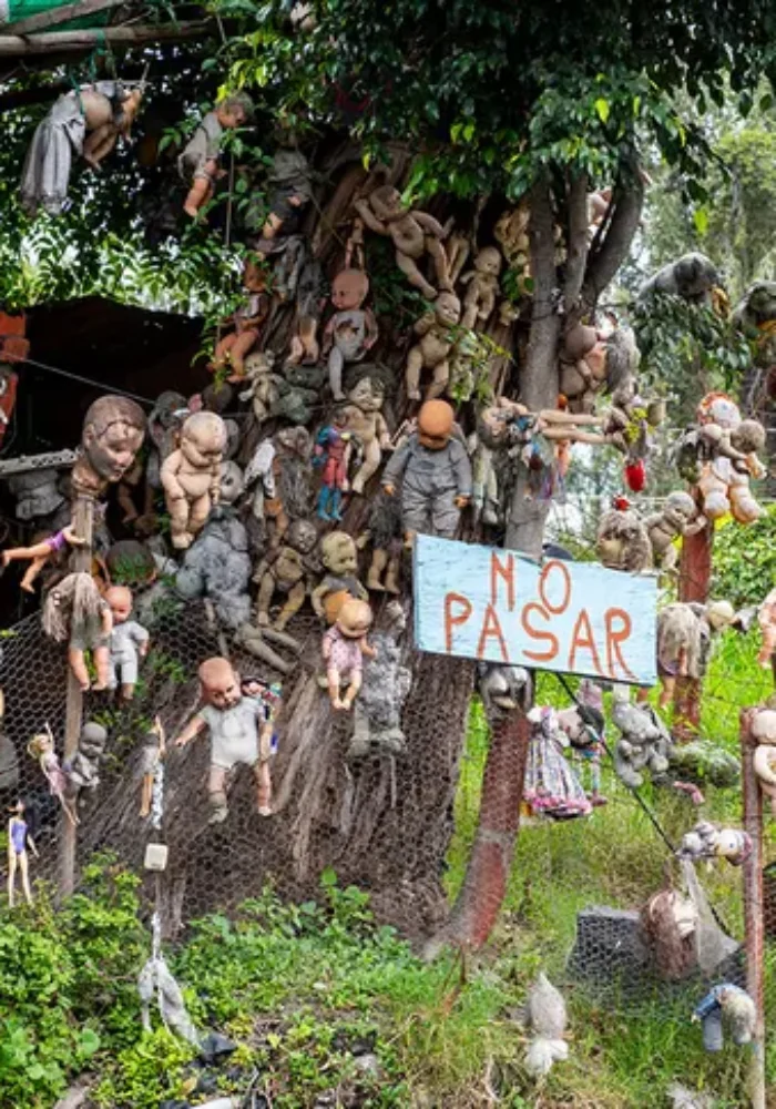 Bienvenidos Isla 1 700x1000