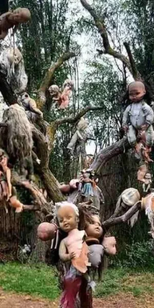 e1b20ab173668675f1fafecab44fca26